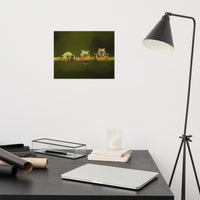 Three Tiny Green Red Eyed Tree Frog on Bamboo Branch Animal Wildlife Floral Nature Photograph Loose Wall Art Print