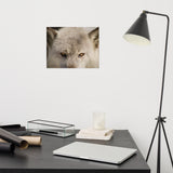Wolf Eyes Loose Wall Art Print
