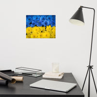 Blue and Yellow Chrysanthemums Nature Photo For Ukraine Refugees Loose Wall Art Print