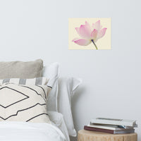 Lotus Flower Creamy Haze Effect Floral Nature Photo Loose Flower Wall Art Print