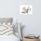 Lotus Flower Tinted Effect Floral Nature Photo Loose Flower Wall Art Print
