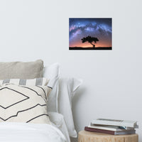 Milky Way Arch and Tree Night Galaxy Landscape Photo Loose Wall Art Prints