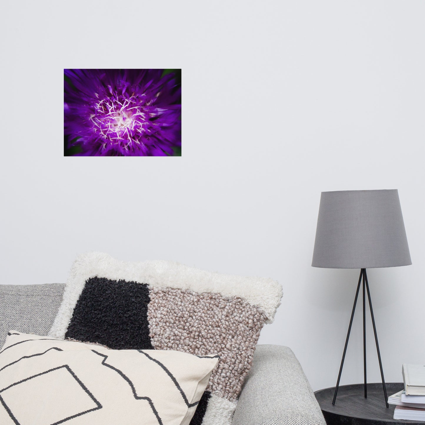 Nature Wall Art For Living Room: Dark Purple and White Aster Bloom Close-up - Botanical / Floral / Flora / Flowers / Nature Photograph Loose / Unframed / Frameless / Frameable Wall Art Print - Artwork