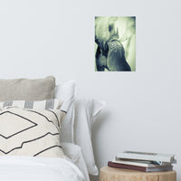 Abstract Japanese Iris Delight Floral Nature Photo Loose Unframed Wall Art Prints