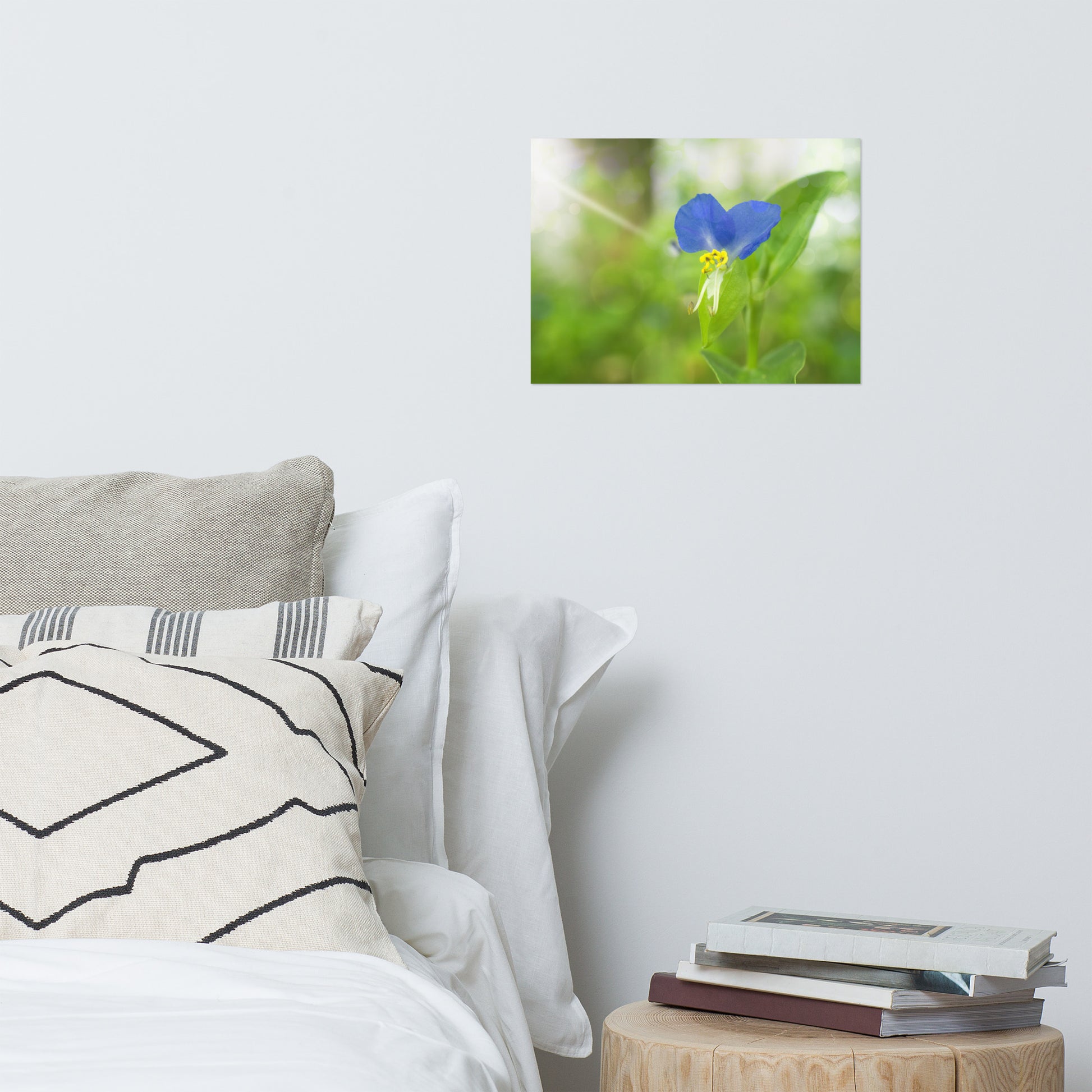 Floral Wall Posters: Little Purple and White Flower Bloom - Botanical / Floral / Flora / Flowers / Nature Photograph Loose / Unframed Wall Art Print - Artwork