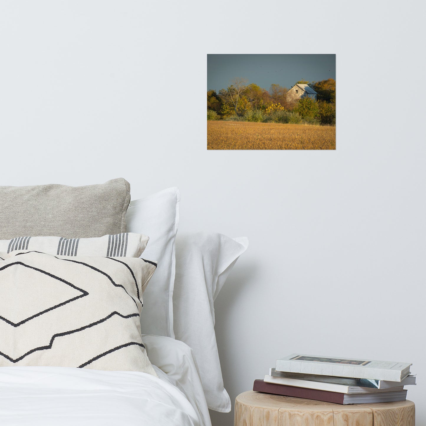 Country Farmhouse Wall Decor: Abandoned Barn In The Trees Landscape Photo Loose Wall Art Prints