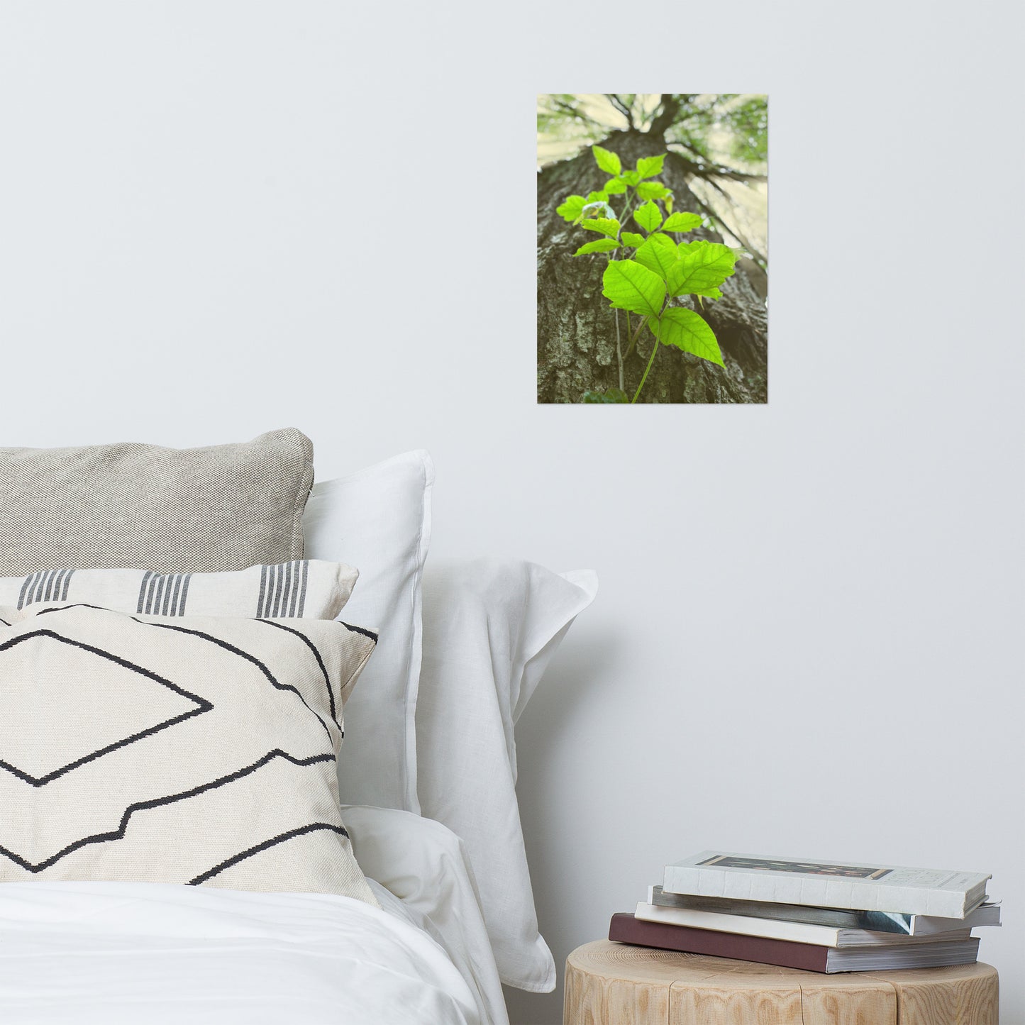 Climbing The Tree Rustic Botanical Nature Photo Loose Unframed Wall Art Prints