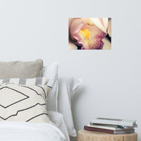 Close-up of Orchid Floral Nature Photo Loose Unframed Wall Art Prints