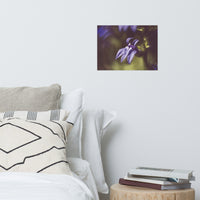 Dramatic Blue Lobelia Floral Nature Photo Loose Unframed Wall Art Prints