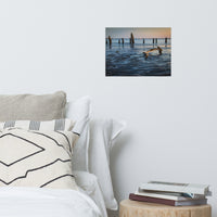 Driftwood and Sandbars Landscape Photo Loose Wall Art Prints