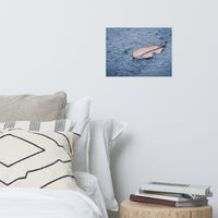 Fallen Leaf in The Rain Color Botanical Nature Photo Loose Unframed Wall Art Prints