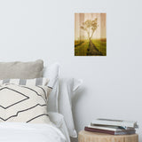Faux Wood Calming Morning Landscape Photo Loose Wall Art Print
