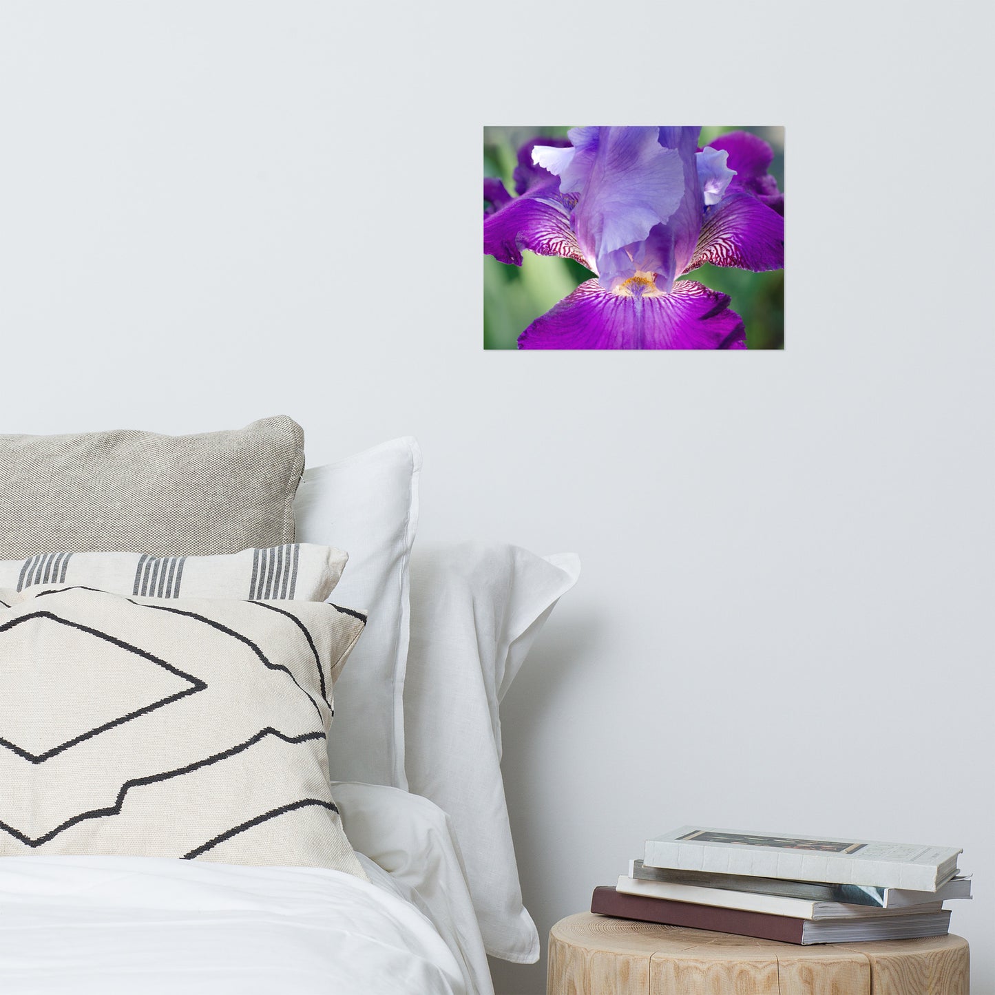 Small Posters For Room: Glowing Iris - Botanical / Floral / Flora / Flowers / Nature Photograph - Loose / Frameable / Unframed / Frameless Wall Art Print - Artwork