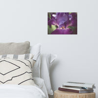 Glowing Iris Moody Midnight Floral Nature Photo Loose Unframed Wall Art Prints