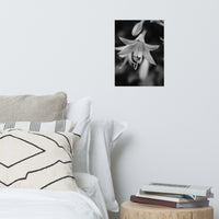 Hosta Bloom Black and White Floral Nature Photo Loose Unframed Wall Art Prints