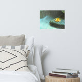 Misty Leaf Botanical Nature Photo Loose Unframed Wall Art Prints