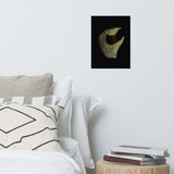 States of Erosion Image 5 Whelk Shell Coastal Nature Photo Loose Unframed Wall Art Prints