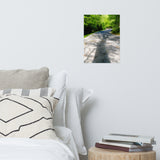 Summer Shadows Botanical Nature Photo Loose Unframed Wall Art Prints