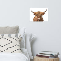 Golden Highland Cow Wildlife / Animal Photograph Loose Wall Art Prints