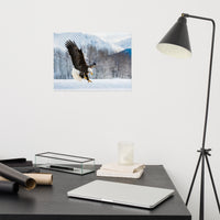 Adult Bald Eagle and Alaskan Winter Landscape Animal Wildlife Photograph Loose Wall Art Print
