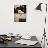 Aged and Colorized Snowy Egret on Pillar Loose Wall Art Print
