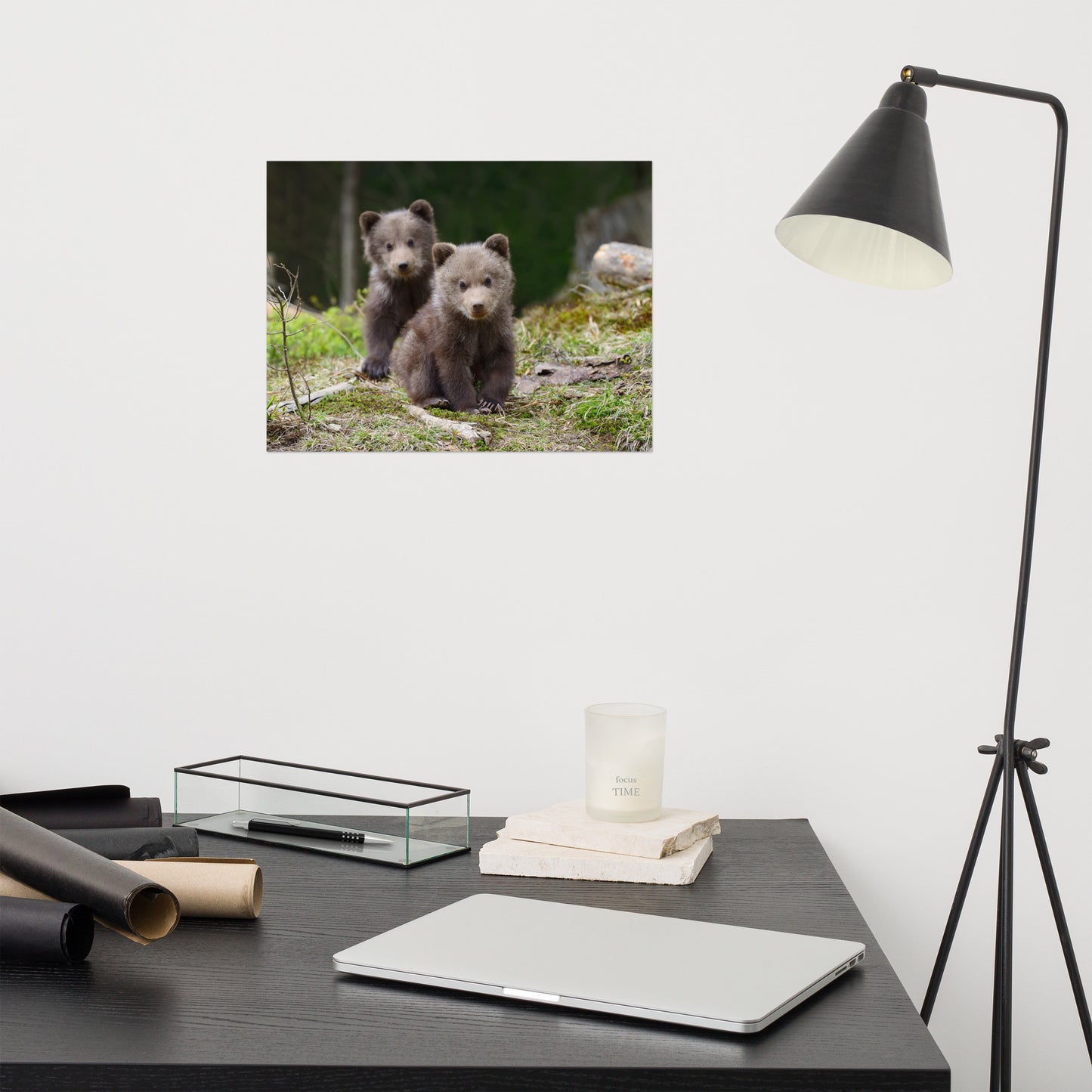 Childrens Wall Art Prints: Adorable Grizzly Bear Cubs In The Trees Animal / Wildlife / Nature Photograph - Loose / Unframed / Frameable / Frameless Wall Art Print / Artwork