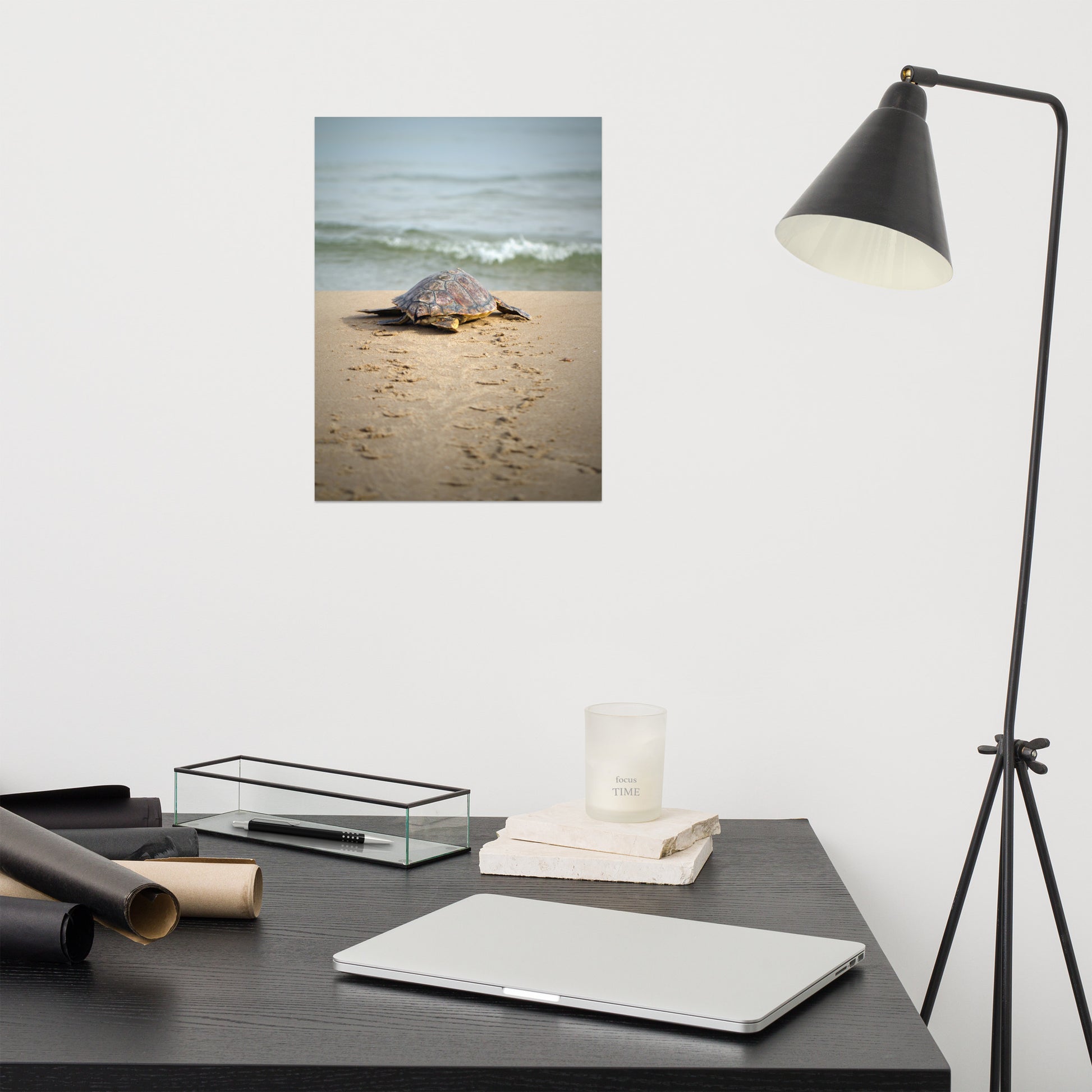 Poster Laundry Room: Sea Turtle Hatchling On The Shore Animal / Wildlife / Coastal / Nature Photograph Unframed / Loose / Frameless / Frameable Wall Art Prints - Artwork