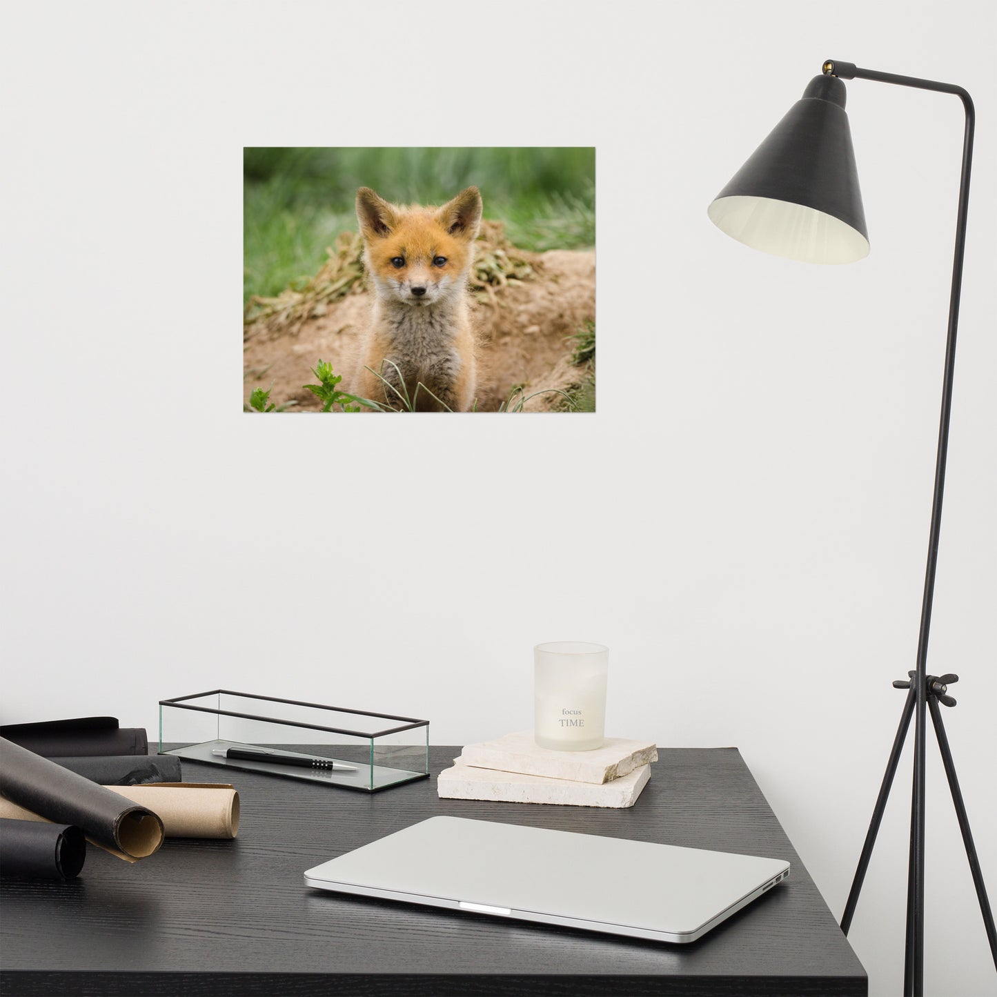 Bathroom Wall Art Pictures: Young Red Fox Kit - Animal / Wildlife / Nature Photograph Loose / Unframed / Frameless / Frameable Wall Art Print / Artwork