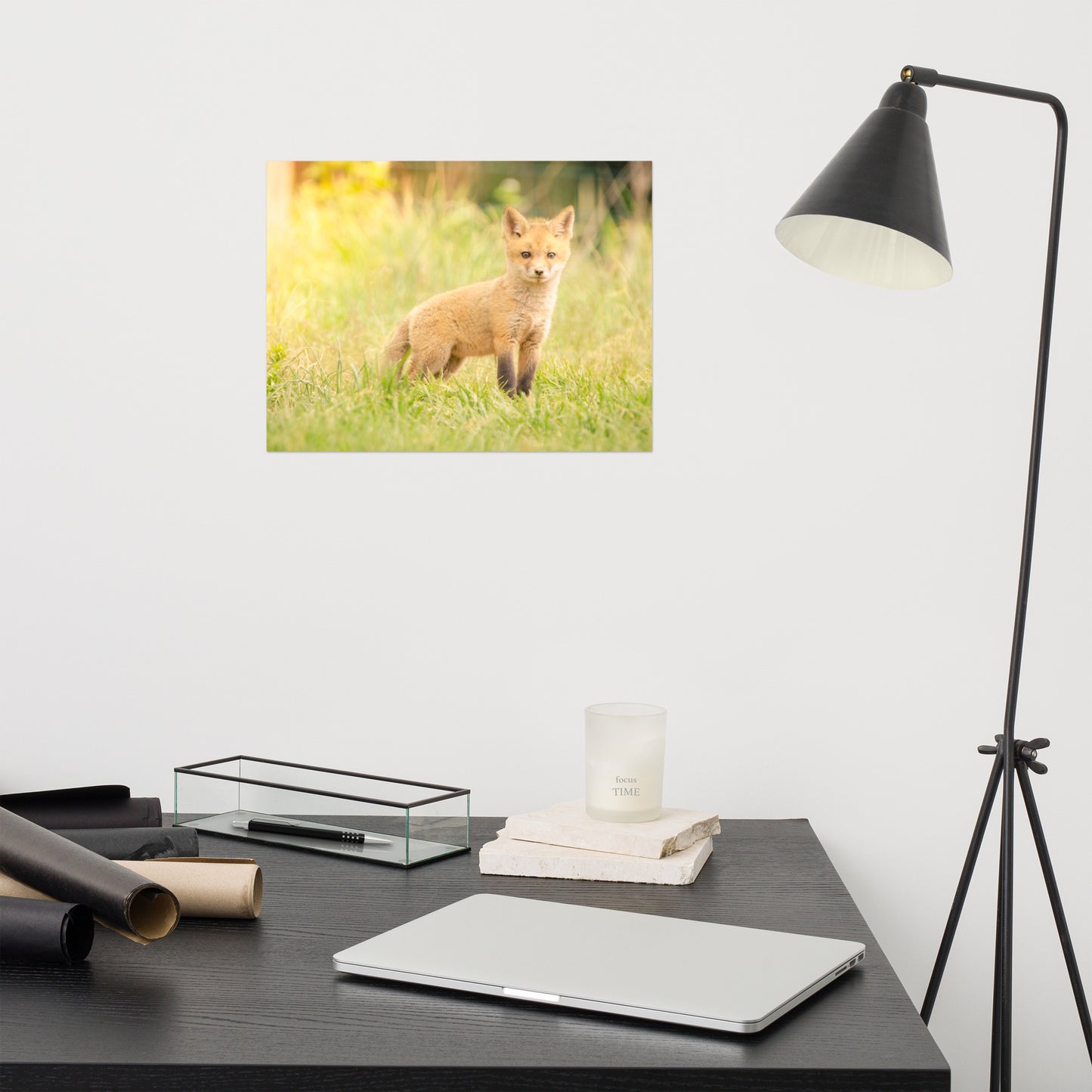 Baby Red Fox in the Sun Loose Wall Art Print