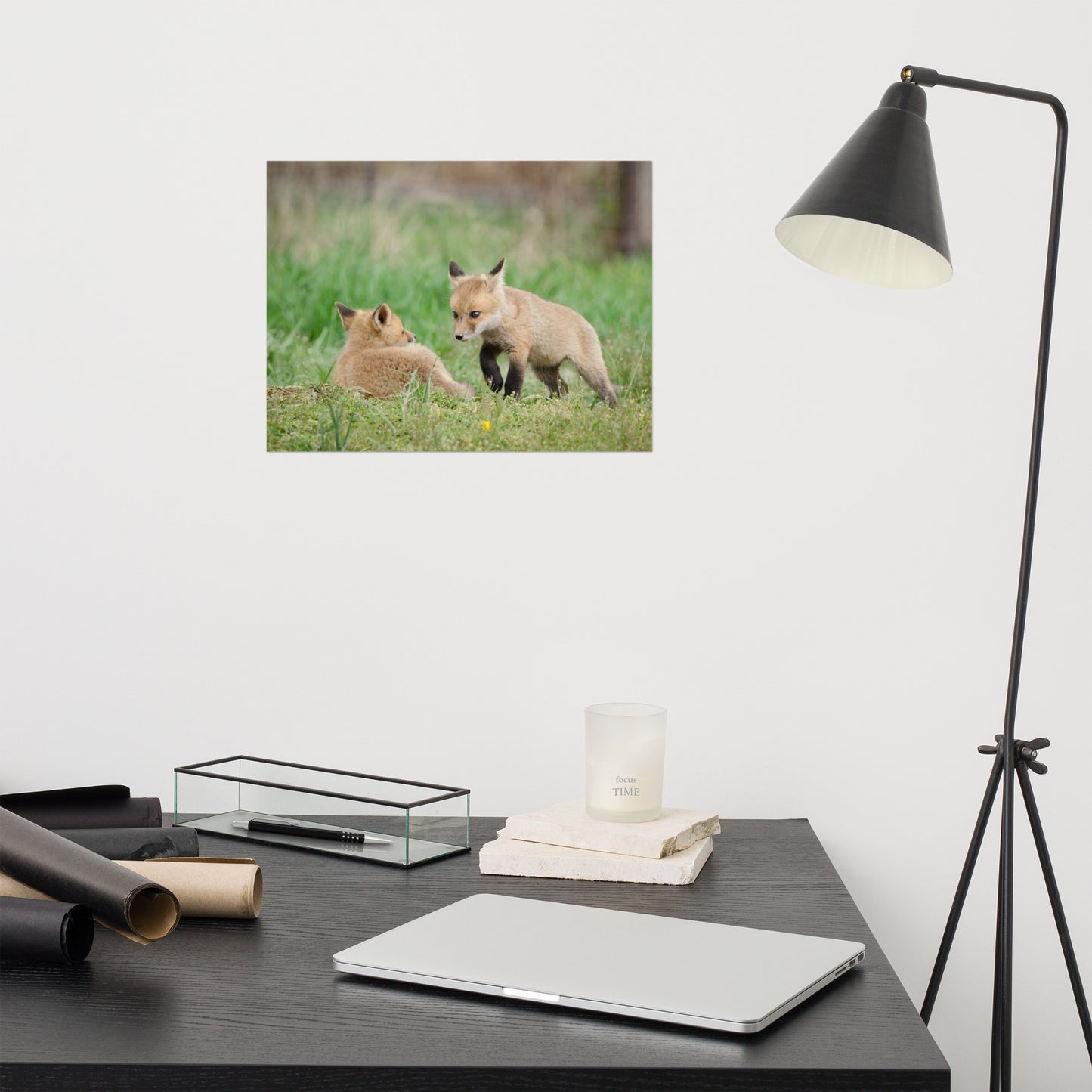 Farmhouse Bedroom Wall Decor: Fox Pups / Kits - Coming to Get You Animal / Wildlife Photograph Loose / Unframed / Frameless / Frameable Artwork