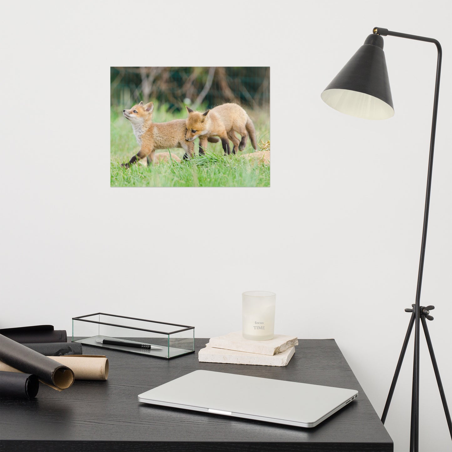 Target Nursery Wall Art: Playful Red Fox Pups In Field Animal / Wildlife Photograph Loose / Unframed / Frameless / Frameable Wall Art Prints