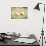 Baby Red Foxes Learning to Hunt Loose Wall Art Print