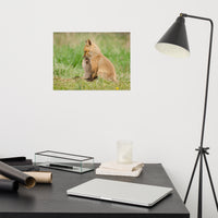 Baby Red Foxes Sibling Kisses Loose Wall Art Print