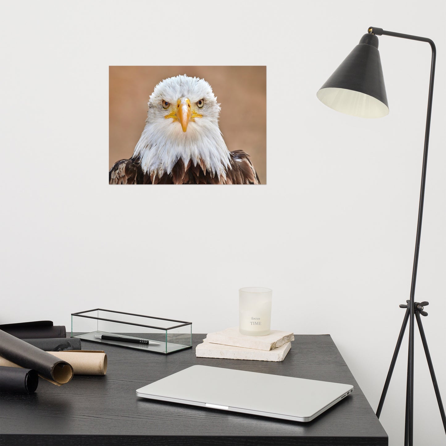 Bald Eagle Portrait Close-up 2 Loose Wall Art Print