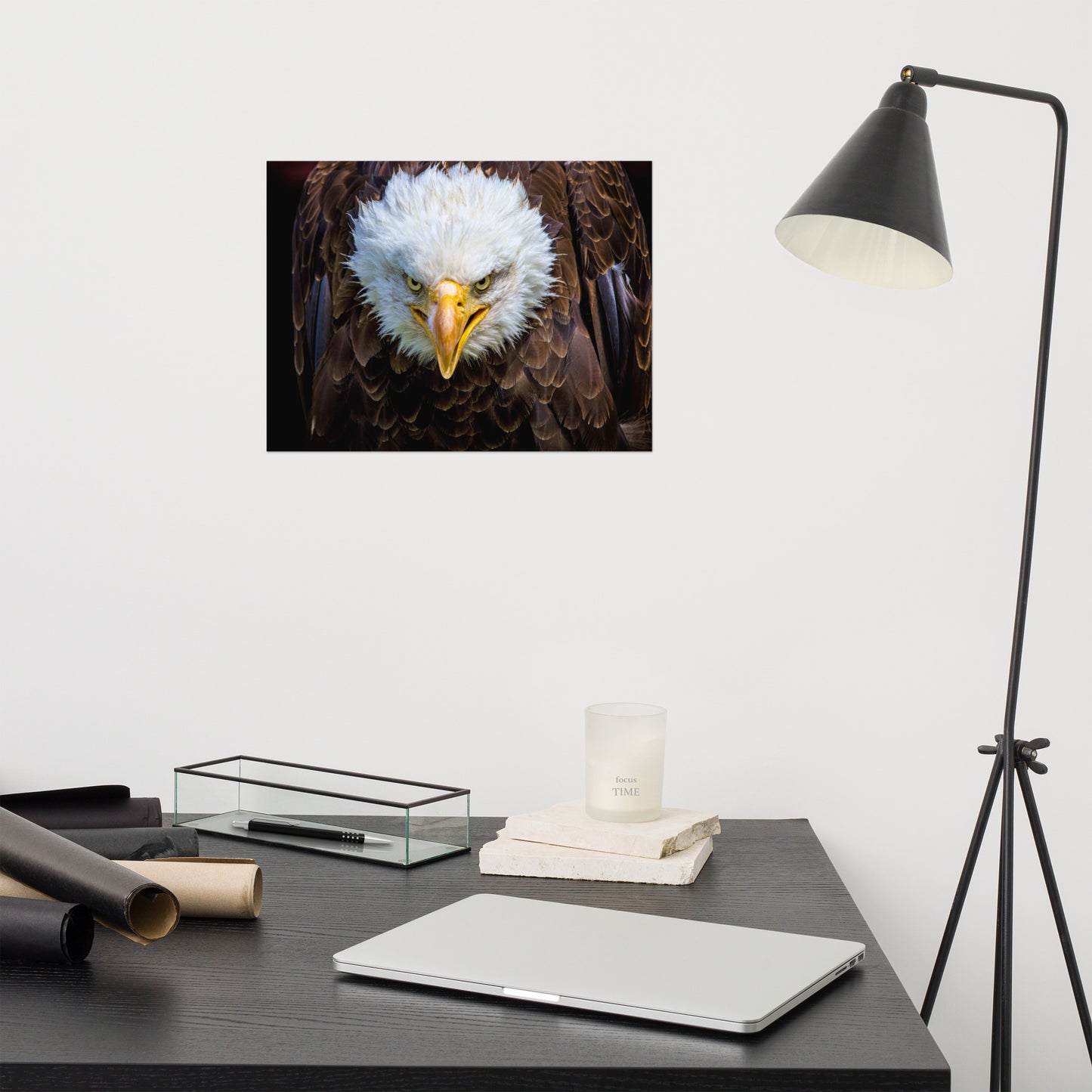 Bald Eagle Portrait Close-up Loose Wall Art Print