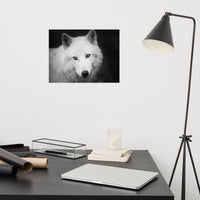 Black and White Portrait of White Wolf In The Forest Loose Wall Art Print