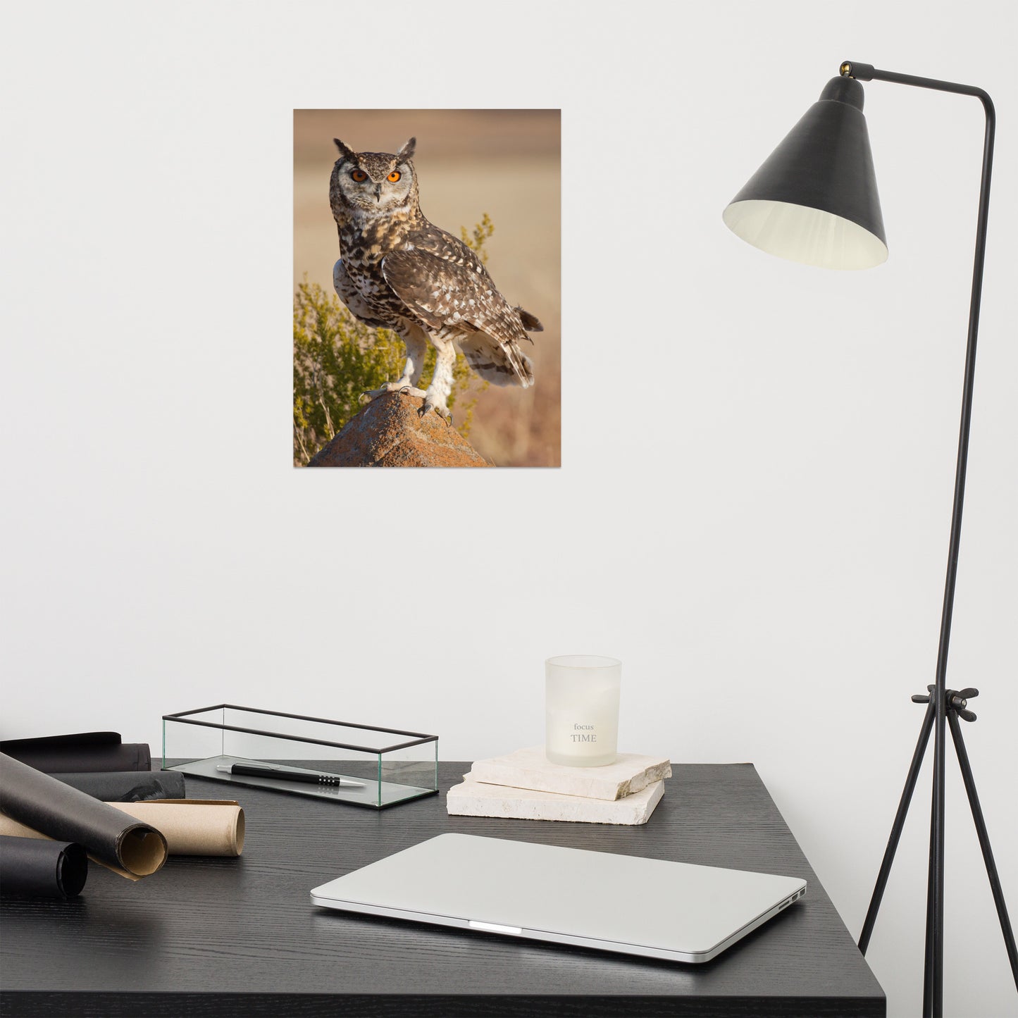 Cape Eagle Owl Rustic / Farmhouse Style Animal / Wildlife Photograph Loose Wall Art Print