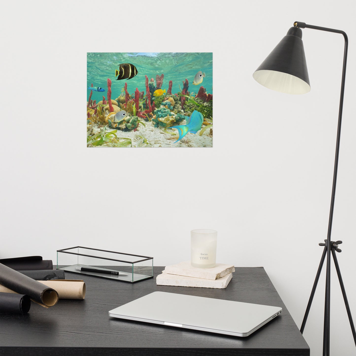 Colorful Tropical Fish - Animal Wildlife Photograph Loose Wall Art Print