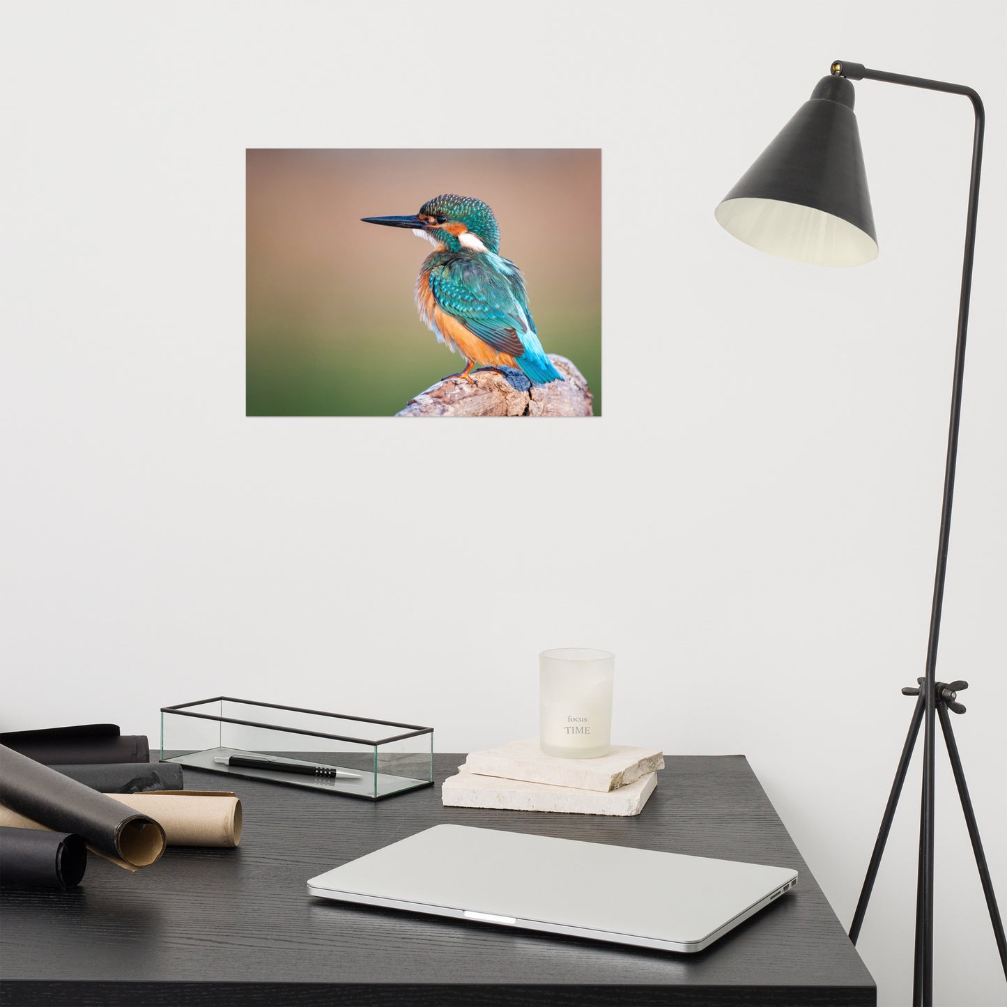 Common Kingfisher Bird on Perch Loose Wall Art Print