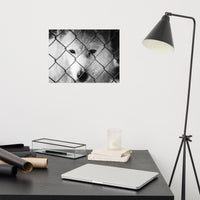 Dreams of Freedom Loose Wall Art Print