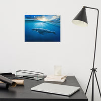 Dreamy Blue Whale Ocean Sunset Glory Rays Loose Wall Art Print