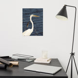 Great White Egret Loose Wall Art Print
