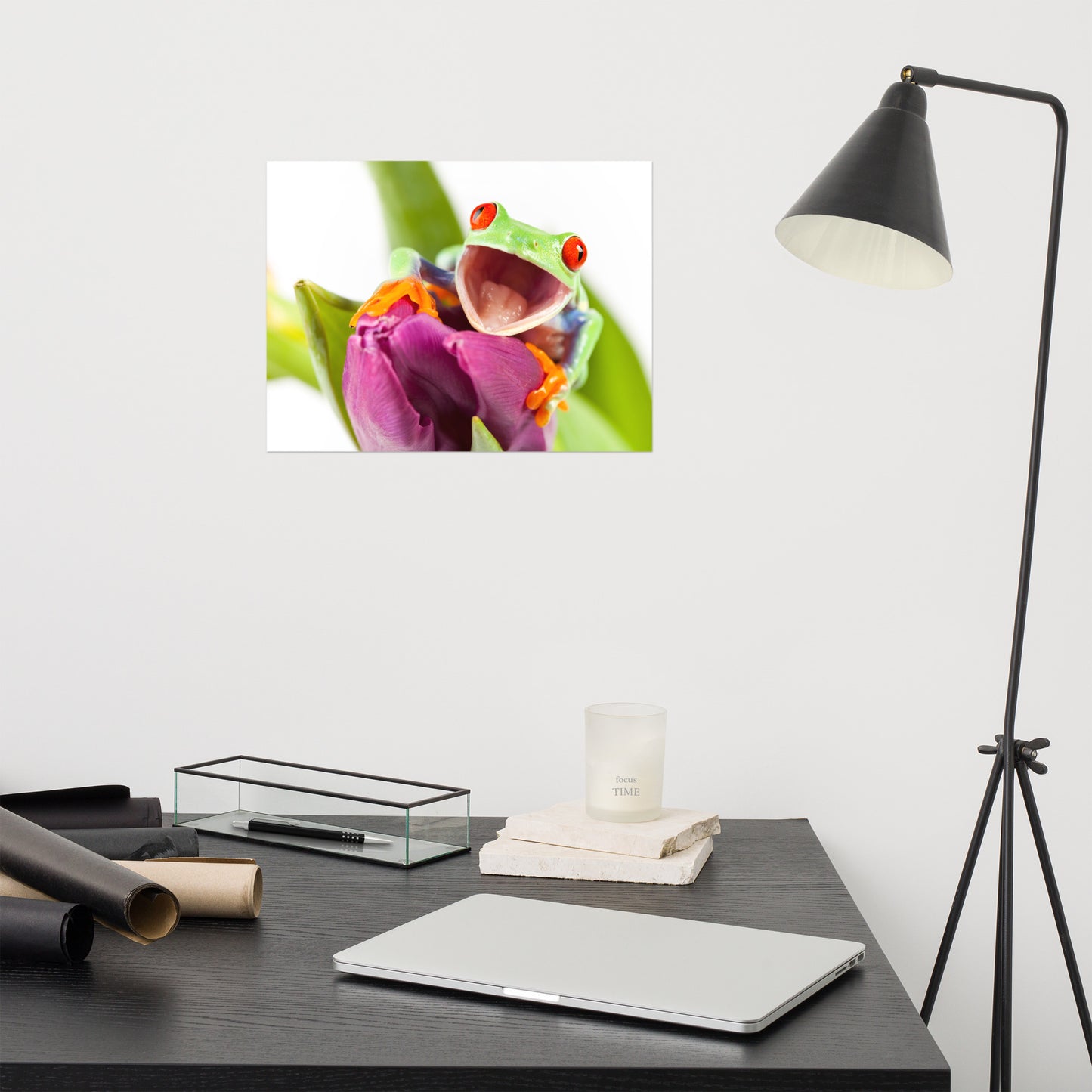 Happy Red Eyed Tree Frog Sitting on Purple Tulip Flower Bloom Wildlife Nature Photo Loose Wall Art Print