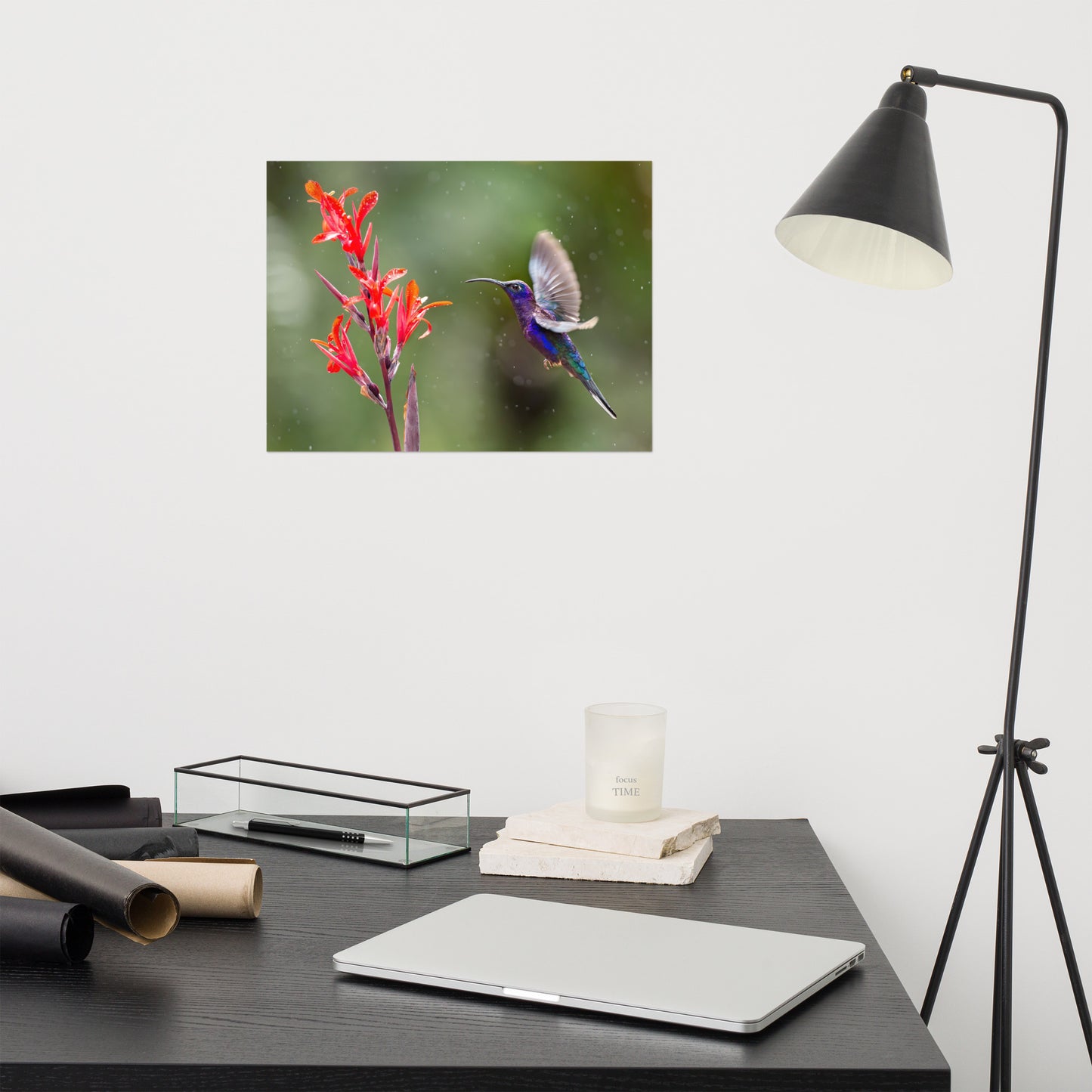 Hummingbird with Little Red Flowers Loose Wall Art Print