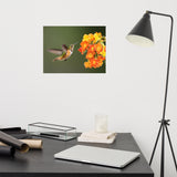 Hummingbird with Little Yellow-Orange Flowers Loose Wall Art Print