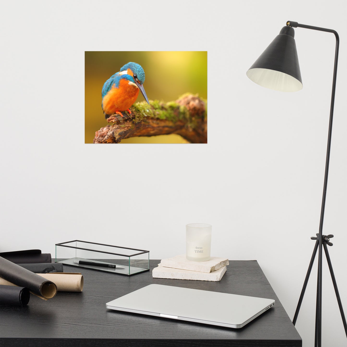 Kingfisher Bird on Perch 2 Loose Wall Art Print