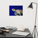 Sea Turtle 2 Loose Wall Art Print