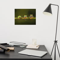 Three Tiny Green Red Eyed Tree Frog on Bamboo Branch Animal Wildlife Floral Nature Photograph Loose Wall Art Print