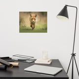 Young Female Red Fox In Forest Animal Wildlife Nature Photograph Loose Wall Art Print