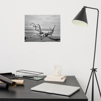 Driftwood on Boneyard Beach Florida 3 Black and White Rustic Coastal Landscape Photo - Loose Wall Art Print
